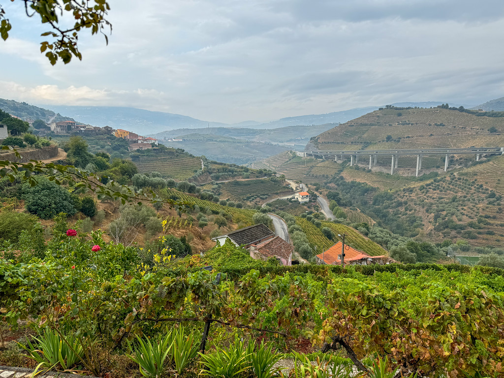View from Casa do Romezal